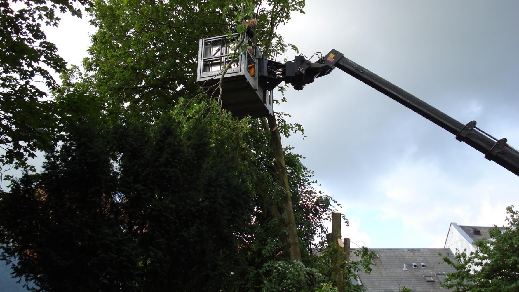 Lift med mand beskærer træ