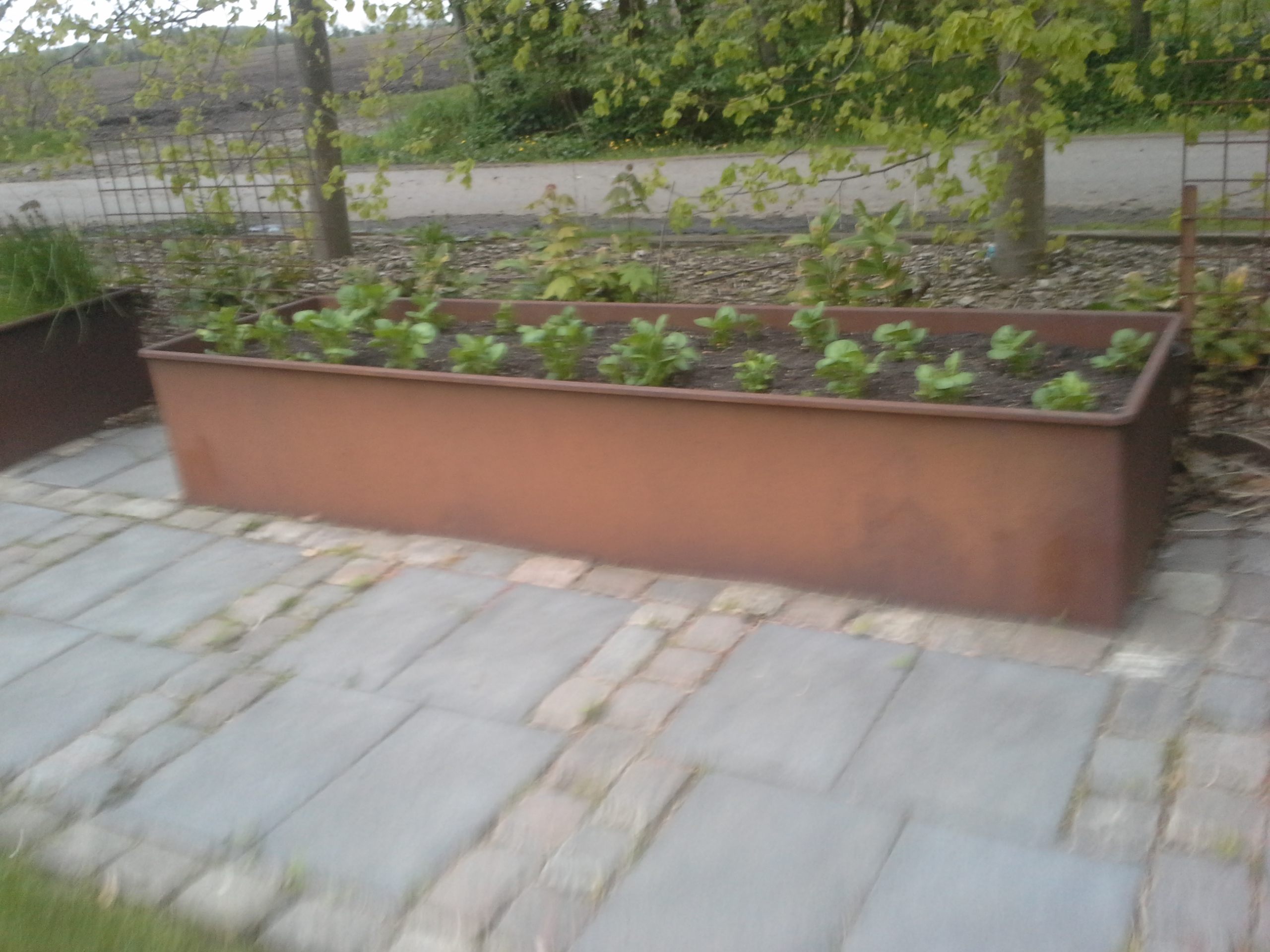 Specialmaskine til arbejde i vand og terræn